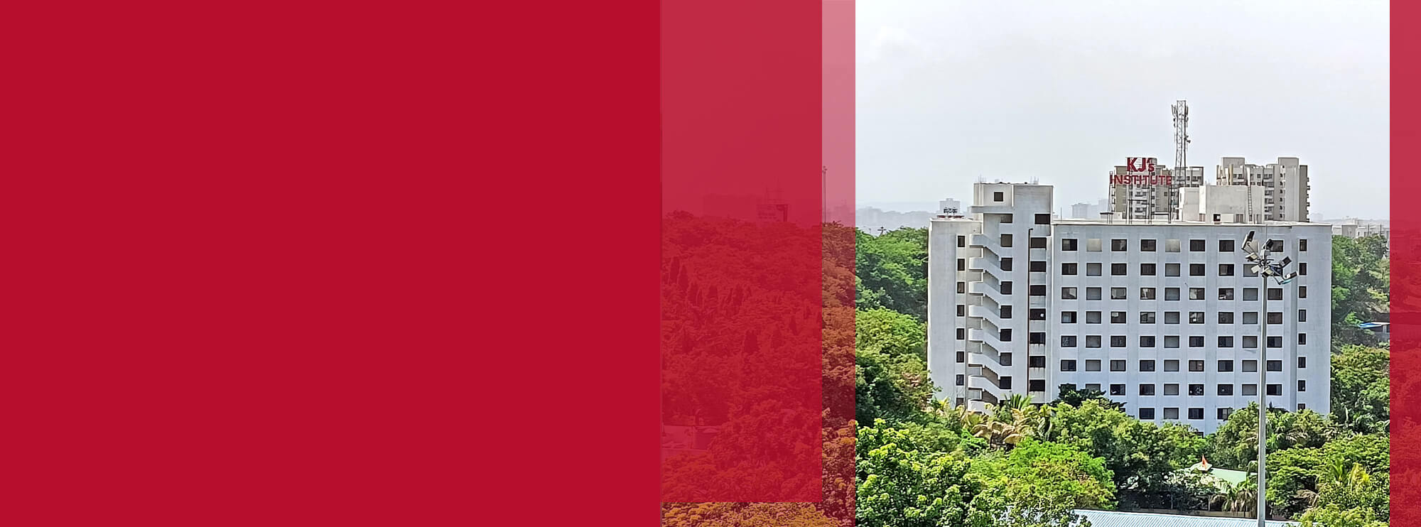 Explore Our Programs